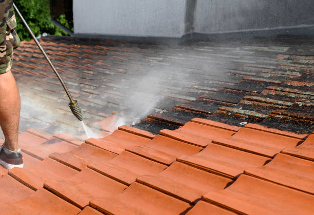 Best Residential Pressure Washing Services  in Wingdale, NY