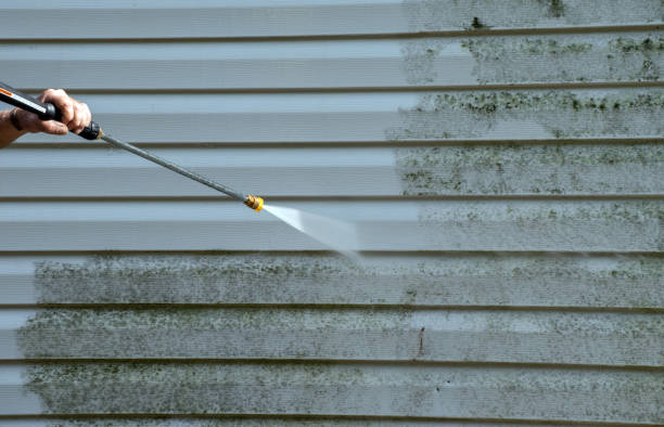 Best Roof Pressure Washing  in Wingdale, NY